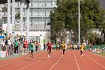 CC2_0547.jpg
