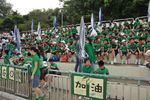 DSC_8335.jpg