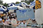 DSC_8877.jpg