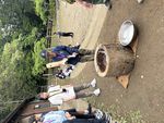 IMG_6463.JPG