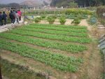 DSCN0015.JPG