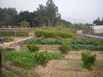DSCN0017.JPG