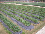 DSCN0025.JPG