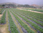 DSCN0026.JPG