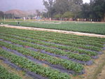 DSCN0027.JPG