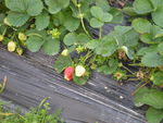 DSCN0029.JPG