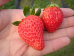 DSCN0039.JPG