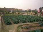 DSCN0046.JPG