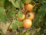 DSCN0049.JPG