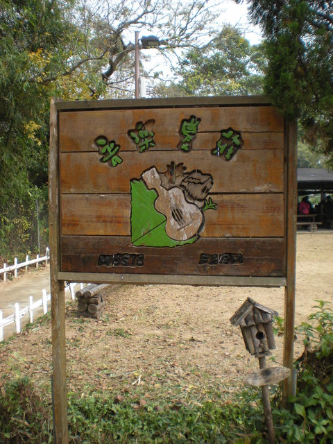 DSCN9882.JPG