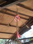DSCN9938.JPG