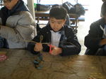 DSCN9943.JPG