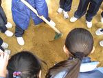 IMG_6232.jpg
