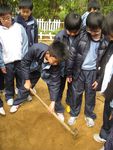IMG_6238.jpg