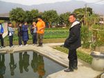 IMG_6350.jpg