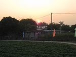 IMG_6360.jpg