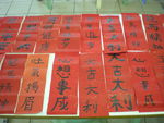 DSCN0462.JPG