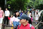 IMG_8545.jpg