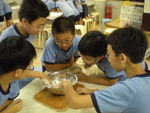 DSCN7072.JPG