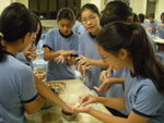 DSCN7136.JPG