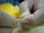 DSCN7209.JPG