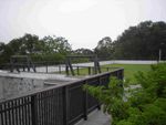 DSCN2185.jpg