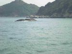 DSCN2416.jpg