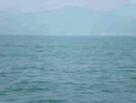 DSCN2422.jpg