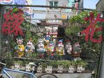 IMG_8246.JPG
