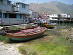 IMG_8255.JPG