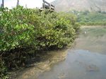 IMG_8267.JPG