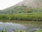 IMG_8275.JPG