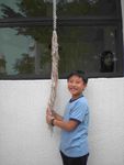 DSCN7802.jpg