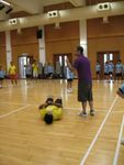 IMG_0800.jpg