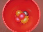 DSCN4485.jpg