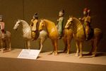 IMG_2576.jpg