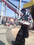 IMG_6803.jpg