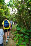 walkathon-63.jpg