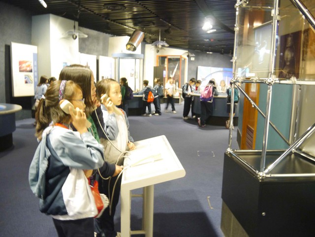 P1020581.jpg