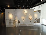 DSCN8597.JPG