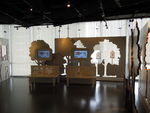 DSCN8605.JPG
