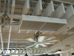 DSCN8783.JPG