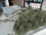 DSCN8809.JPG