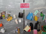 DSCN8882.JPG