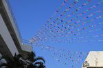 IMG_2054.jpg