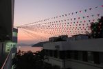 IMG_2064.jpg
