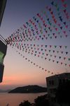 IMG_2067.jpg