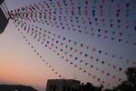 IMG_2073.jpg
