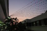 IMG_2074.jpg