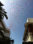 IMG_6047.jpg